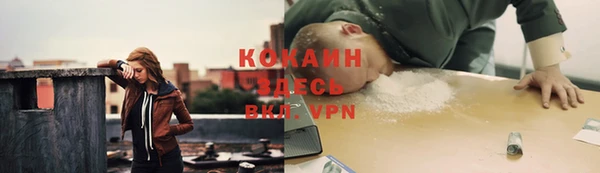 спайс Баксан