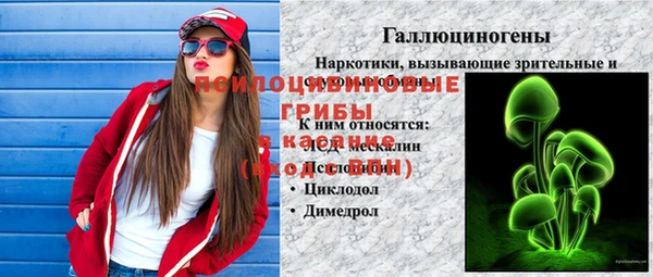 спайс Баксан