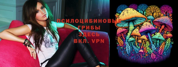 спайс Баксан