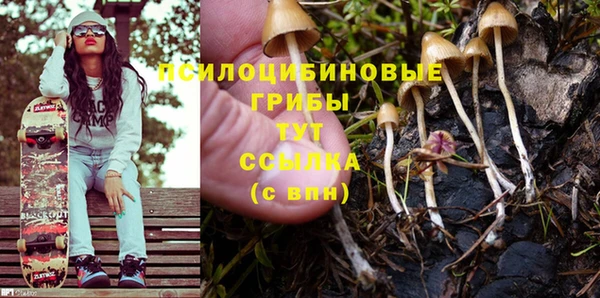 крисы Ступино