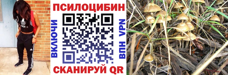 сколько стоит  Лениногорск  Галлюциногенные грибы Magic Shrooms 